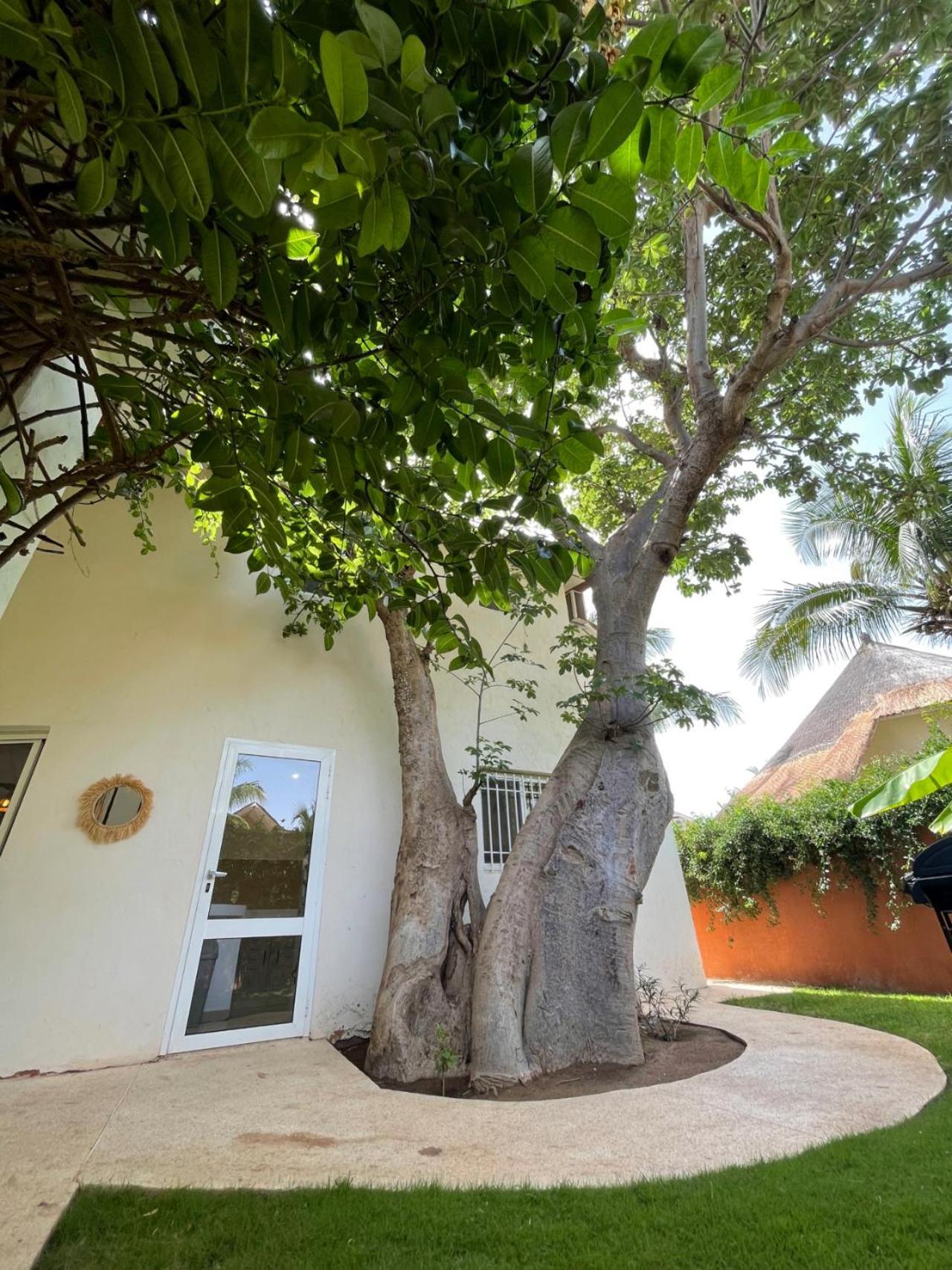 Agence Adjana Resort - Residence Du Port 3 Sali Tapé Exteriér fotografie